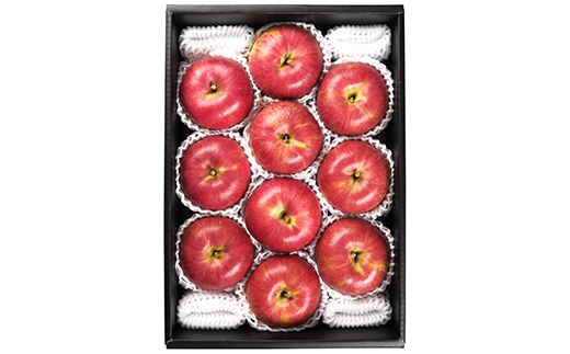 FYN9-945 ≪2026年先行予約≫山形県産 サンふじ りんご 3kg 2026年11月中旬から順次発送 林檎 りんご リンゴ 秋果実 果物 くだもの フルーツ 自宅用 産地直送 期間限定 山形県 西川町 月山