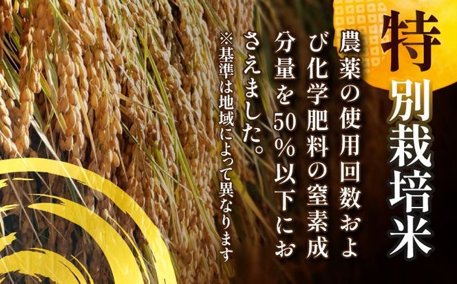 令和6年産　新米　愛知県産あいちのかおり　玄米5kg　特別栽培米　お米　ご飯／戸典オペレーター[AECT026]