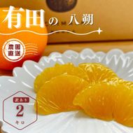 【ふるさと納税】【先行予約】 八朔 2kg 訳あり サイズ混合 柑橘 フルーツ はっさく 産地直送 お取り寄せ 送料無料 FA09