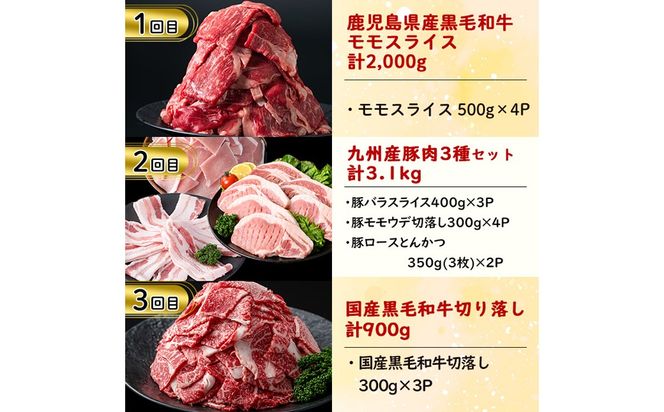 【定期便・全6回】お肉のお楽しみ定期便 総量9.8kg!  t0119-002