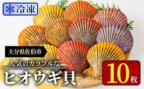 冷凍 ヒオウギ貝 (計10枚) 魚介 貝 ヒオウギ貝 ひおうぎ貝 酒蒸し 網焼き バター焼き バーベキュー 獲れたて 海の直売所 大分県 佐伯市【AS151】【海べ】