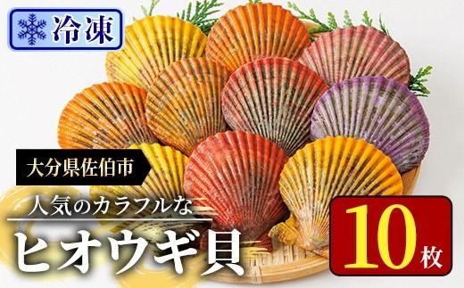 冷凍 ヒオウギ貝 (計10枚) 魚介 貝 ヒオウギ貝 ひおうぎ貝 酒蒸し 網焼き バター焼き バーベキュー 獲れたて 海の直売所 大分県 佐伯市【AS151】【海べ】