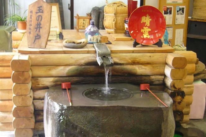 酒蔵見学 ランチ御膳付き 酒蔵プライベートツアー (1名様分) [晴雲酒造 埼玉県 小川町 397] 見学 ランチ付き ツアー 酒蔵