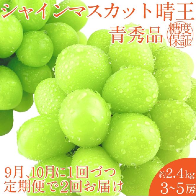 2026年 先行予約【2回定期便】 シャインマスカット 晴王 約2.4kg（3～5房）9月10月に1回づつ出荷/ 岡山県産 種無し 皮ごと食べる みずみずしい フレッシュ 晴れの国 おかやま 果物大国 彩美菜果