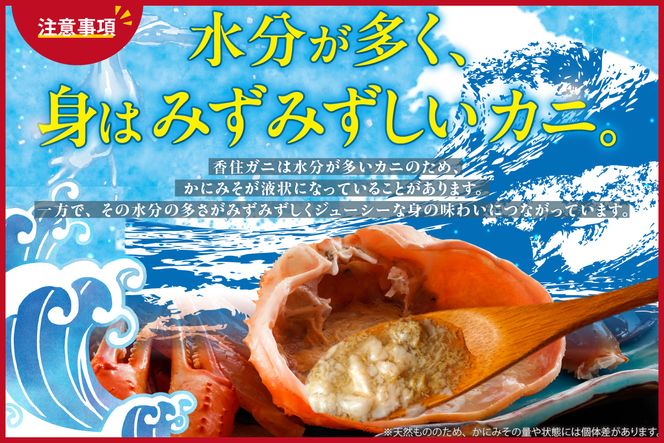 〈カンテレ「やすとも・友近のキメツケ！」で紹介！〉訳あり 香住ガニ 浜茹で 2～3杯 約1kg以上 1～2本指落ち 冷蔵【令和8年10月以降発送予定】TVで紹介 国産 香住 日本海 カニ かに 蟹 爪 身 脚 しゃぶ ベニ ズワイガニ 紅 べに ずわいがに 訳あり ご自宅用 大人気 おすすめ 兵庫県 香美町 丸近 19-09