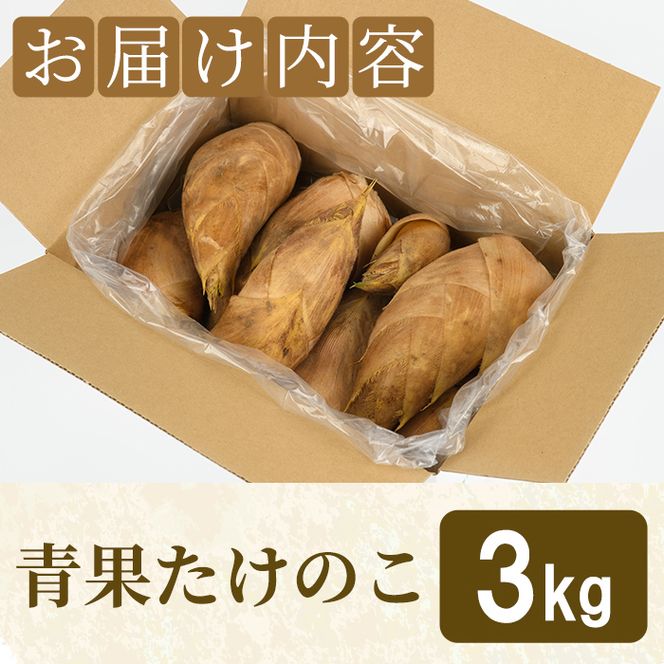 ＜先行予約受付中！2027年2月下旬以降順次発送予定＞ 【土日祝着】朝堀り青果たけのこ(約3kg) 国産 新鮮 タケノコ 青果 竹の子 筍 野菜 春 旬 期間限定 数量限定 【上野食品】akn008-19-B