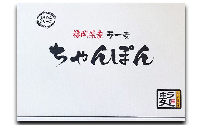 ちゃんぽん 福岡県産 ラー麦ちゃんぽん 1ケース 麺 