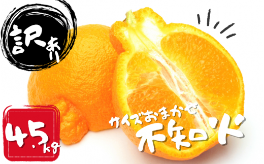 みかん 不知火 [ランキング急上昇!] 訳あり品 M-4L サイズおまかせ 石本農園の 不知火 4.5kg[2026年2月上旬から3月上旬までに順次発送] / くだもの フルーツ 果物 柑橘 わけあり 訳あり 家庭用 ご家庭用 不知火 みかん ミカン 蜜柑 デコポン 人気 甘い ジューシー[mis012A]
