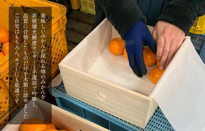 みかん めっちゃうまいんじゃ 木箱入 約5kg（内容量4.3kg） みかんの会厳選 特選品 M S 2S サイズのいずれか 和歌山県産 産地直送 S品 贈答用 ［2025年11月中旬より2026年1月中旬頃順次出荷予定］［みかんの会］ 	AX192