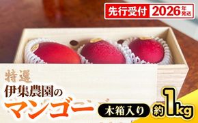 【木箱入】【先行受付・2026年発送】伊集農園  沖縄県産マンゴー（贈答用木箱）約1kg - 先行予約 沖縄 産地直送 南国フルーツ 旬の味覚 旬のフルーツ 贈り物 ギフト 沖縄県 八重瀬町