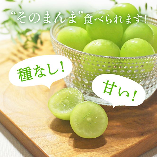【令和8年産】シャインマスカット 3～4房 セット 約2kg ぶどう 種無し 皮ごと 兵庫県産 大粒 農家直送 果物 果物類 フルーツ デザート ブドウ 詰め合わせ 甘い 粒 糖度