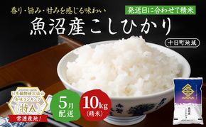 【令和7年産米】魚沼産こしひかり(十日町地域) 精米 10kg(5kg×2) 5月配送 お米 精米 こめ ご飯 白米 旧：五郎兵衛