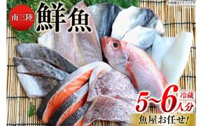 鮮魚 詰め合わせ 魚屋お任せ！南三陸お楽しみ鮮魚 セット 5～6人分 [さかなのみうら 宮城県 南三陸町 30aj0002] 魚 タコ 牡蠣 ほや ホタテ 塩辛 佃煮 切り身