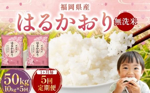 【 1ヶ月毎5回定期便 】 【 無洗米 】 はるかおり 10kg （ 5kg × 2袋 ） 計50kg お米 米 こめ コメ 白米 白飯 飯 ご飯 おにぎり 和食 国産 福岡県産 定期 定期配送