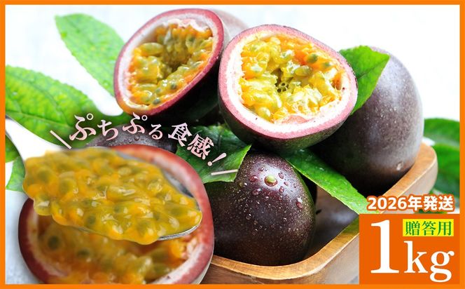 【2026年発送】パッションフルーツ 約1kg（贈答用） フルーツ 果物 くだもの 果実 沖縄 大宜味村 食べ物 国産 ビタミン 沖縄県産 産地直送 ギフト プレゼント トロピカル 送料無料 贈答用 スイーツ お取り寄せ デザート パッション