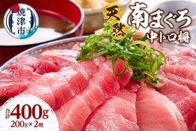a16-195　天然 ミナミマグロ 中トロ 柵 刺身 焼津 海の極 計400g 200g×2
