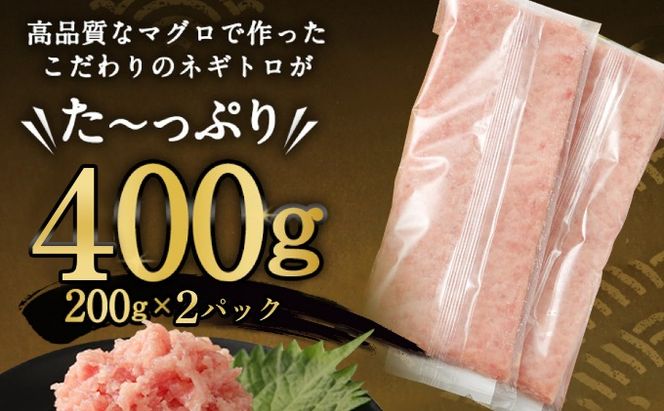 【お試しセット】 土佐流藁焼きかつおのたたき２節と高豊丸ネギトロ４００ｇ 魚介類 海産物 カツオ 鰹 わら焼き 高知 コロナ 緊急支援品 海鮮 冷凍 家庭用 訳あり 不揃い 規格外 小分け 個包装 まぐろ マグロ 鮪 ねぎとろ 藁 藁焼き かつお 室戸 ttk ngt　tk069