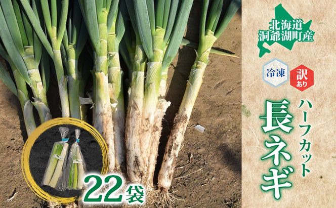 【大容量】役に立ちます 冷凍カット野菜 長ねぎ 訳あり 長ねぎ11本分(1/2本×22袋相当) 長ネギ 冷凍 カット 野菜 小分け 時短 弁当 簡単 調理 便利  国産 北海道 洞爺湖町