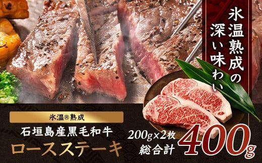 【氷温®熟成】石垣島産 黒毛和牛 ロースステーキ 400g お肉 肉 牛肉 冷凍 ステーキ 焼肉 やきにく BBQ アウトドア お祝い 贈答 プレゼント 200g×2枚 八重山食肉センター YC-2