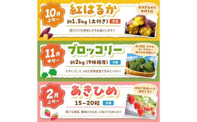 まつみやファーム獲れたて野菜・フルーツ5種定期便 ふるさと納税 果物 くだもの フルーツ ふるーつ 野菜 やさい 芋 穀物 紅はるか さつまいも いちご イチゴ 苺 ホワイトコーン 農家応援 生産者応援 送料無料　MY00022