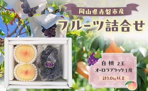 桃 ぶどう 2026年 数量限定 岡山 白桃 2玉 オーロラブラック 1房 詰合せ 計1.0kg以上