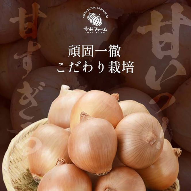 【新玉ねぎ】今井ファームの淡路島たまねぎ「かくし玉」5kgとたまねぎスープ10食【発送時期2026年4月下旬～5月頃】
