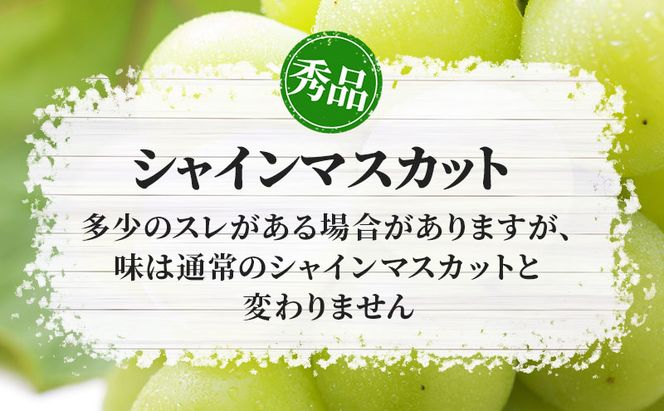 シャインマスカット 約1.1kg 房 秀品 YANAGISAWA ぶどう 長野 マスカット ブドウ フルーツ 果物 シャイン【 果物類 】 葡萄 訳あり 