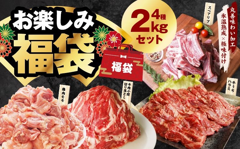 mrz0090 お楽しみ福袋 4種 2kgセット(牛肉 切り落とし/牛ハラミ/豚肉/鶏肉)[氷温熟成×極味付け]