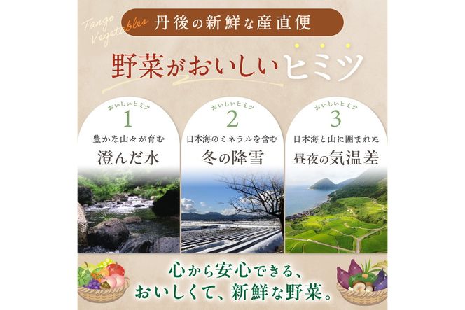 直売所直送 【訳あり】「京都・京丹後産 季節の野菜」お任せ詰め合わせBOX（3品）＋コシヒカリ精米2kg 定期便3回　JA00077