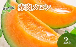【2026年夏発送】 メロン 北海道 富良野メロン 赤肉2玉 北海道 ふらの めろん 果物 フルーツ 甘い ジューシー