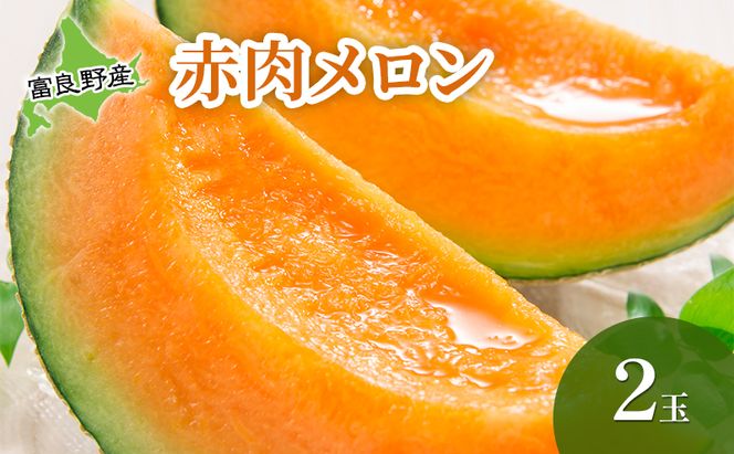 【2026年夏発送】 メロン 北海道 富良野メロン 赤肉2玉 北海道 ふらの めろん 果物 フルーツ 甘い ジューシー