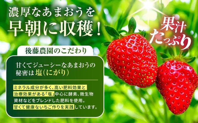 【農家直送！】【先行受付】糸島産 春 あまおう 280g × 2パック  (DXまたはGサイズ)  【2027年2月上旬以降順次発送】糸島市 / 後藤農園 [AML004] いちご 福岡