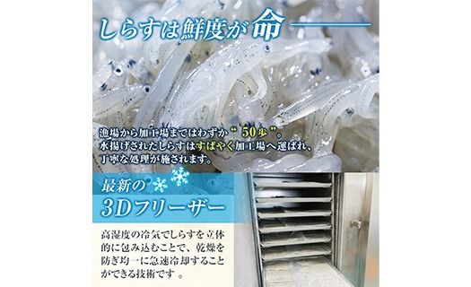 豊洋丸の鮮度抜群！ 生しらすセット (計200g・100g×2個) 冷凍 しらす しらす丼 丼ぶり 魚 さかな ご飯 ごはん 炒飯 チャーハン パスタ サラダ 国産 大分県 パック 小分け 便利 大分県 佐伯市【HK01】【OITAしらすhoyomaru豊洋丸】