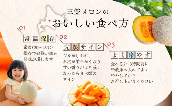 《2026年分受付中》三笠メロン3玉入(4.0kg以上)【0130101】