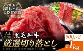 厳選 くまもと黒毛和牛 切り落とし 計1kg 500g×2パック 《30日以内に出荷予定(土日祝除く)》熊本県 大津町 和牛焼肉LIEBE くまもと黒毛和牛 切り落とし 冷凍 リーベ---so_fliekiri_30d_25_13500_1000g---