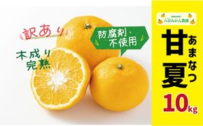 先行予約 訳あり 完熟甘夏 10kg 10000円 みかん mikan 蜜柑 わけあり あまなつ 夏みかん グレープフルーツ だいだい 家庭用 事前 予約 受付 産地直送 国産 農家直送 糖度 期間限定 数量限定 特産品 ゼリー マーマレード ピール ジュース デザート 人気 限定 おいしい 果実 果肉 フルーツ 果物 柑橘 美味しい サイズ ミックス  防腐剤不使用 八百みかん農園 愛南町 愛媛県