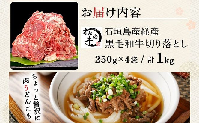 ＜わんの牛＞石垣島産経産黒毛和牛 切り落とし 250g×4袋 合計1kg NA-02