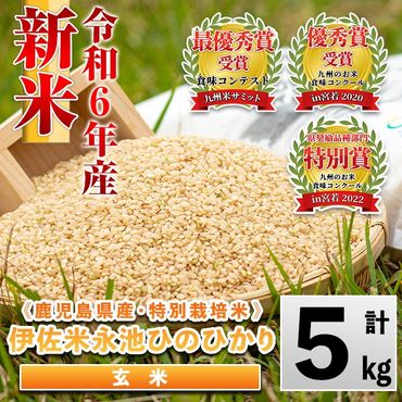 isa400 令和6年産 新米 特別栽培米 永池ひのひかり玄米(5kg) 鹿児島でも極良食味のお米が出来る永池地区で作ったお米!九州米サミット食味コンテスト最優秀賞2回受賞[エコファーム永池]