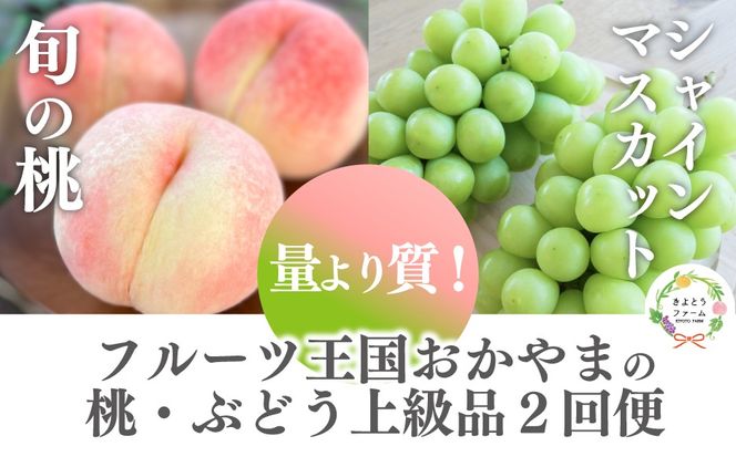 【2026年先行予約】量より質！桃とシャインマスカット、上級品の2回便 (定期便) (岡山県産) / 8月10月 【KF-T060-02】