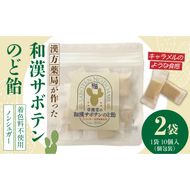 和漢サボテンのど飴　2袋 ［103S13］ 和漢 サボテン のど飴 草漢堂 オリジナル サボテンパウダー入り ノンシュガー 着色料不使用 個包装 島川あめ店 コラボ 飴 キャンディー おかし お取り寄せ 愛知県 小牧市 送料無料