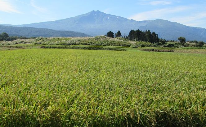 米 お米 《定期便》2kg×2ヶ月 鳥海山の恵み！秋田県産 あきたこまち ひの米（玄米）計4kg（2kg×2回連続）