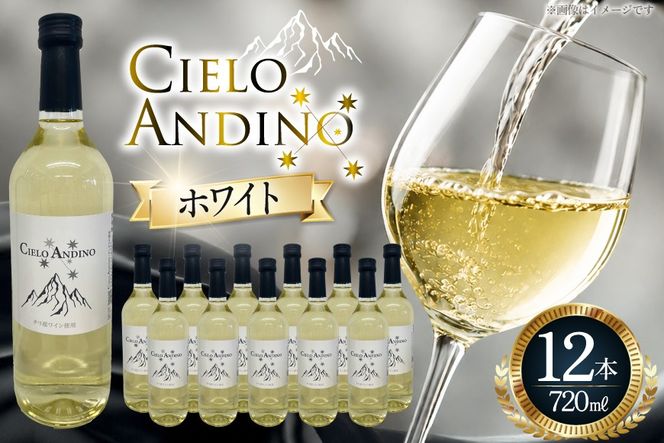 ワイン 白 シエロアンディーノ・ホワイト 720mL×12本 [株式会社カサ・ピノ・ジャパン 山梨県 韮崎市 20745578] 白ワイン 12本 セット まとめ買い 大容量 デイリーワイン テーブルワイン チリ産 普段飲み 宅飲み お酒 蔵元 洋酒