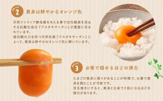 【定期便：6か月】【食べチョクアワード2025 畜産部門 1位の日本一のたまご】単なる平飼いではない究極の卵『わたしたちのぷらいどたまご』3パック（30個）セット