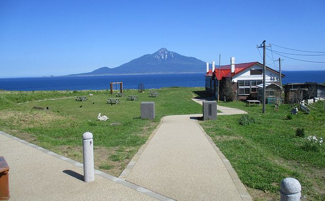 【返礼品なし】北海道 礼文町 ふるさと応援寄附金 5,000円コース ［北海道礼文町］【 寄附のみ 応援 支援 礼文島 地域貢献 自然保護 地方創生 まちづくり ふるさと納税 】