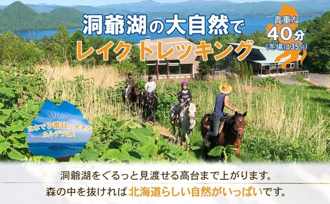 北海道 レイクトレッキング＆Winterレイクトレッキング 約40分 乗馬 体験 ホース トレッキング 絶景 自然 貴重 体験 経験 景色 ふれあい 血統馬 初心者 本格的 のんびり お子様 大人 レイクトーヤランチ 洞爺湖 