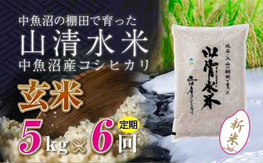 【令和8年産 新米】 【定期便／全6回】玄米5kg　新潟県魚沼産コシヒカリ「山清水米」十日町市 米