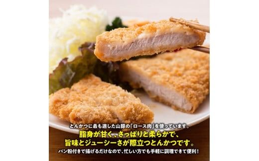 【3ヶ月定期便】月替わりおかずセット【 肉 豚 豚肉 ロース ハンバーグ カレー  】[D07503t3]