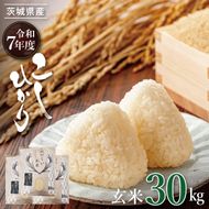 【数量限定】R7年産 コシヒカリ 玄米30kg|お米 米 こしひかり コシヒカリ 玄米 茨城県 取手市（BQ002）