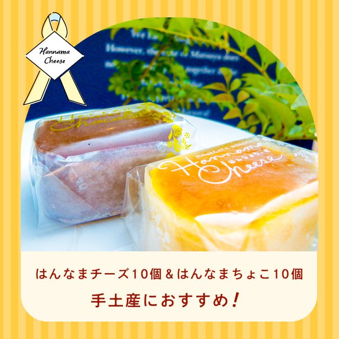 はんなまチーズ10個＆はんなまちょこ10個｜デザート スイーツ チーズ チョコ はんなま はんなまチーズ はんなまチョコ  人気 送料無料 茨城県 行方市(H-17-1)