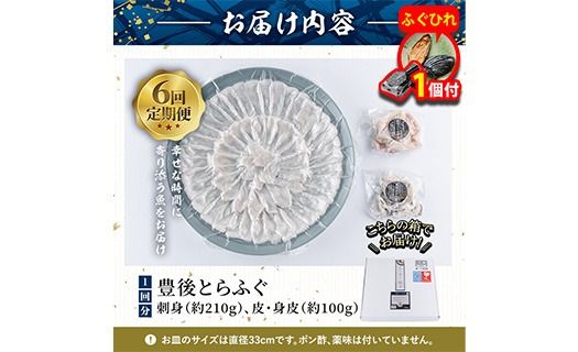 【期間限定・ふぐひれ付】＜定期便・全6回 (連続)＞ 豊後 とらふぐ 刺身 セット (総量約1.8kg：4-5人前×6回) とらふぐ ふぐ フグ ふぐ刺し フグ刺し ふぐ刺身 フグ刺身 刺身 鮮魚 冷凍 養殖 国産 大分県 佐伯市【AB200-G】【柳井商店】